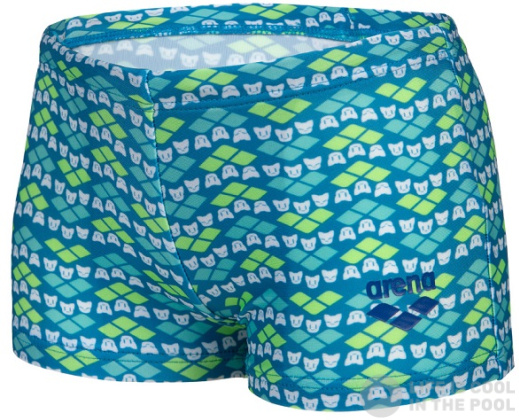  Arena Friends Swim Short Boys Soft Green/Multi